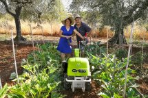 Grillo G107d in Cisterna di Latina (LT). This picture has been awarded with the "Insieme a Grillo 2017" contest prize. Grillo G107d in Cisterna di Latina (LT). This picture has been awarded with the "Insieme a Grillo 2017" contest prize.